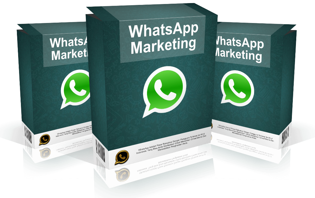 SAAS business for sale whats-pro.com
